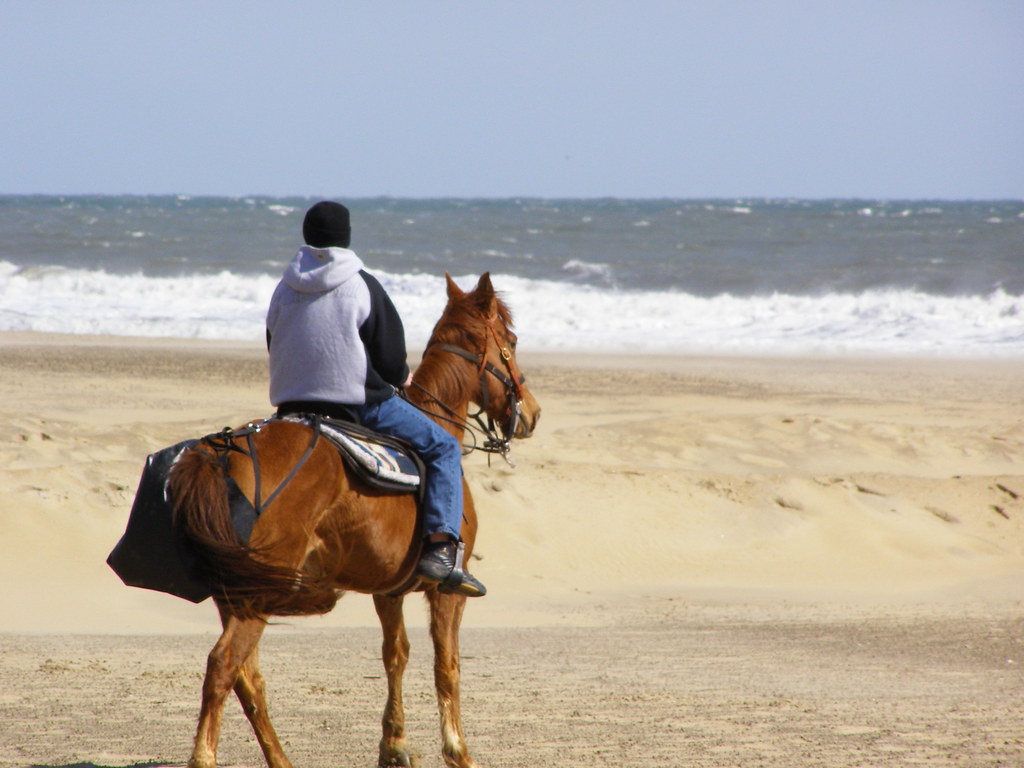 riding horse Virginia Beach Oceanfront sue Flickr