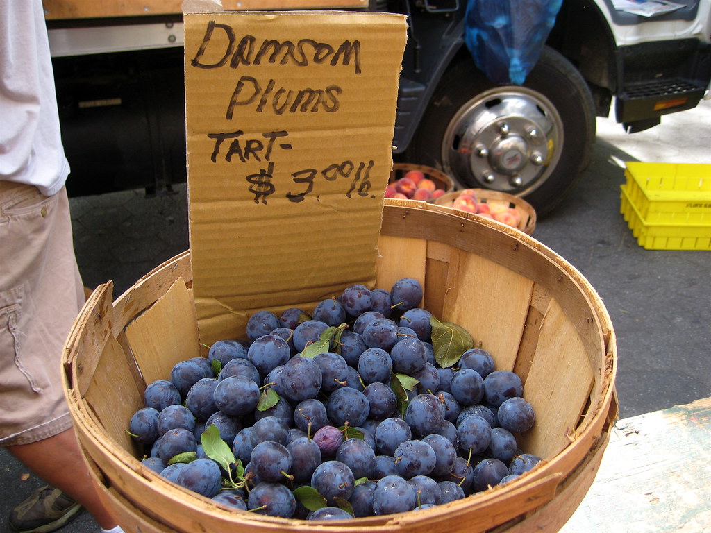 Damson Plums Damson plums for sale in the New York City Un… Flickr