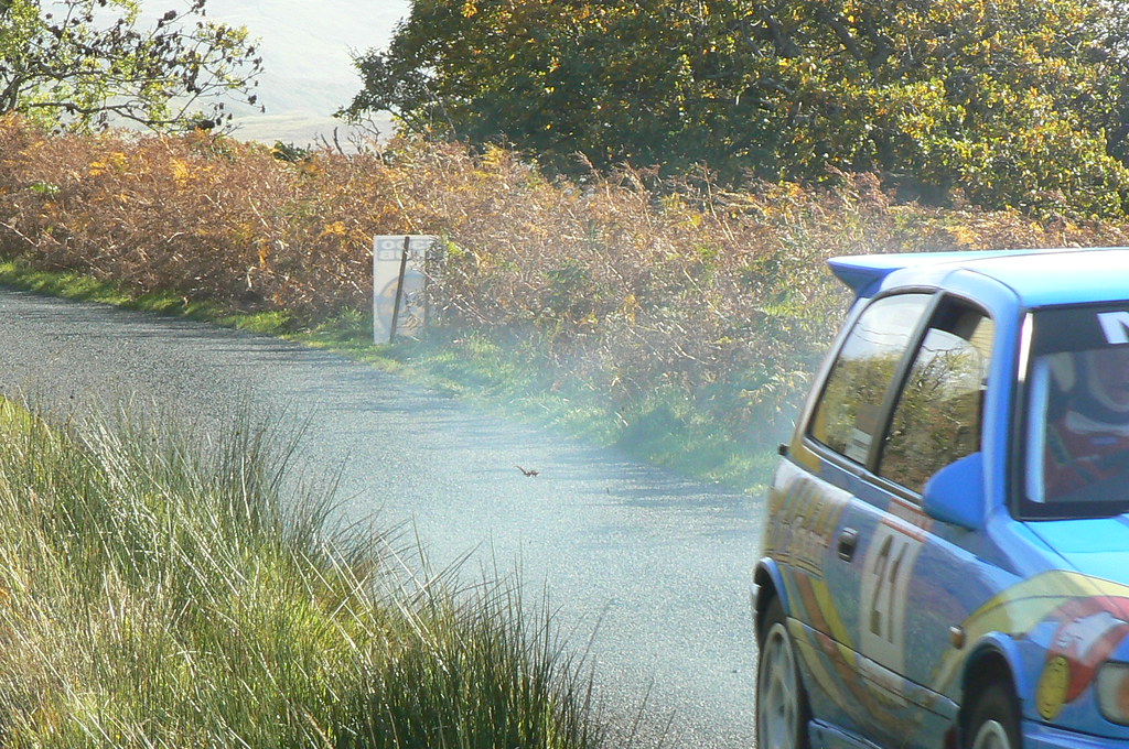 mull rally 08 176 kenny harper Flickr