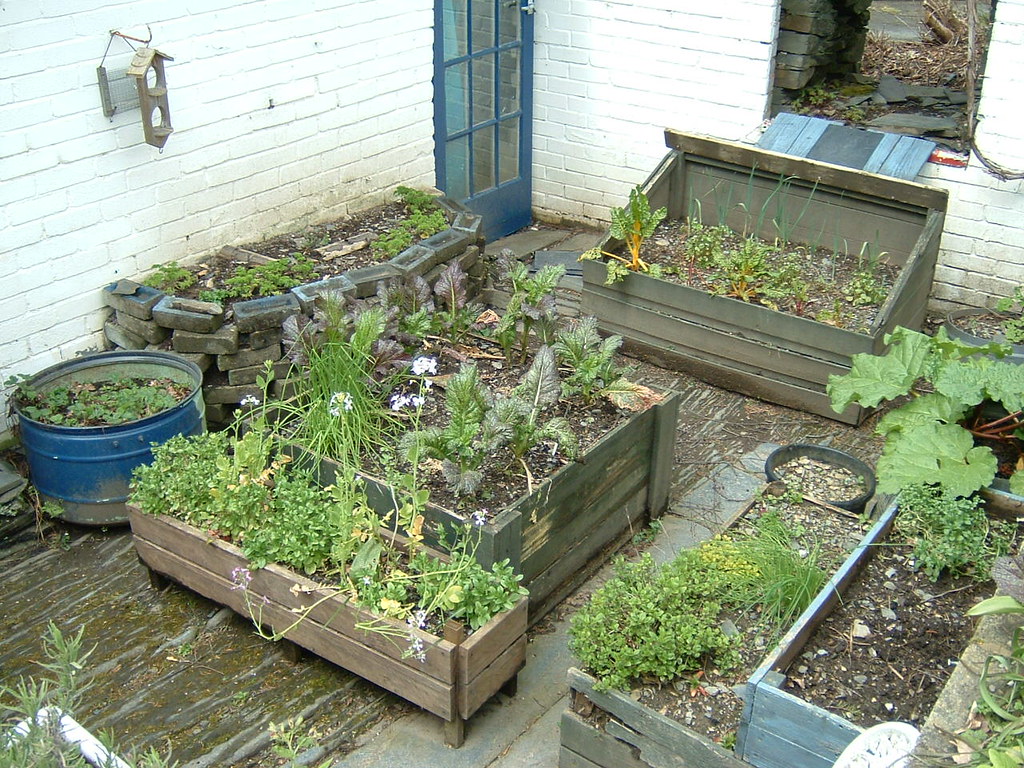 Raised Beds London Permaculture Flickr