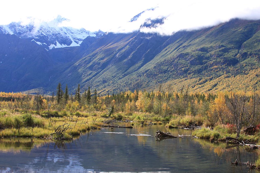 Eagle River, AK in Autumn Eagle River Nature Center beaver… Flickr