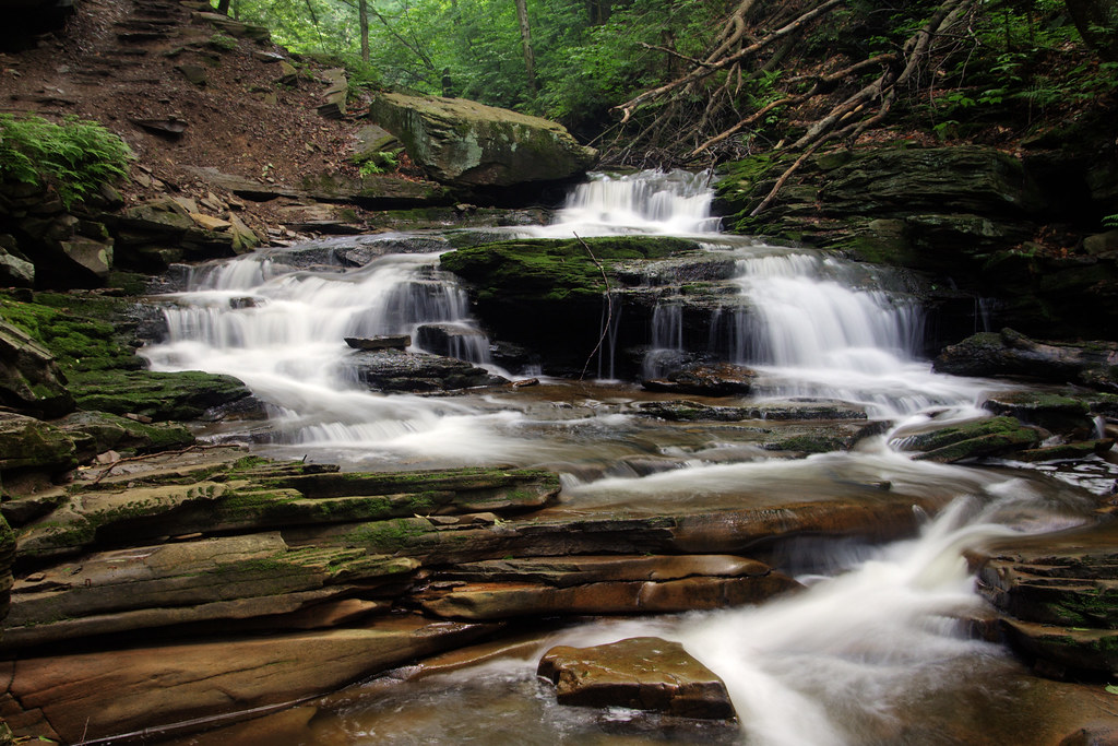 Seneca Falls A 12 foot tall fall on the Falls Trail at Ric… Flickr