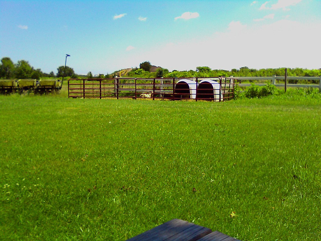 Chesapeake Bay Farms dairy farm Berlin, MD Camera phon… Flickr