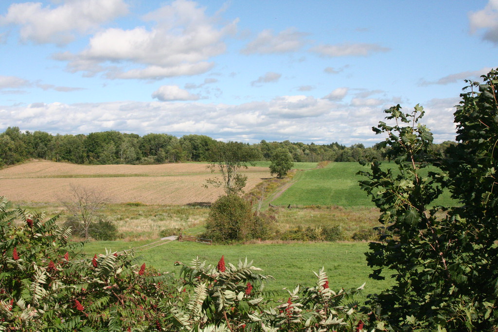Ballston Field Hop City Road, Town of Ballston, New York SAZ who