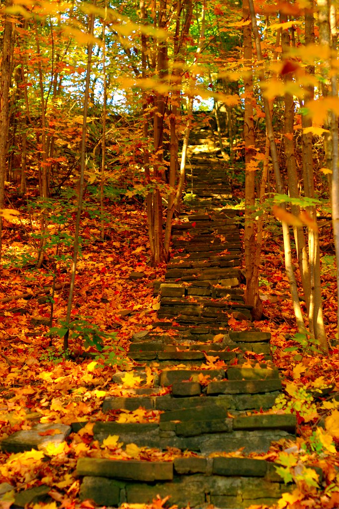 Best Places in Mississauga Fill your itinerary with the best places