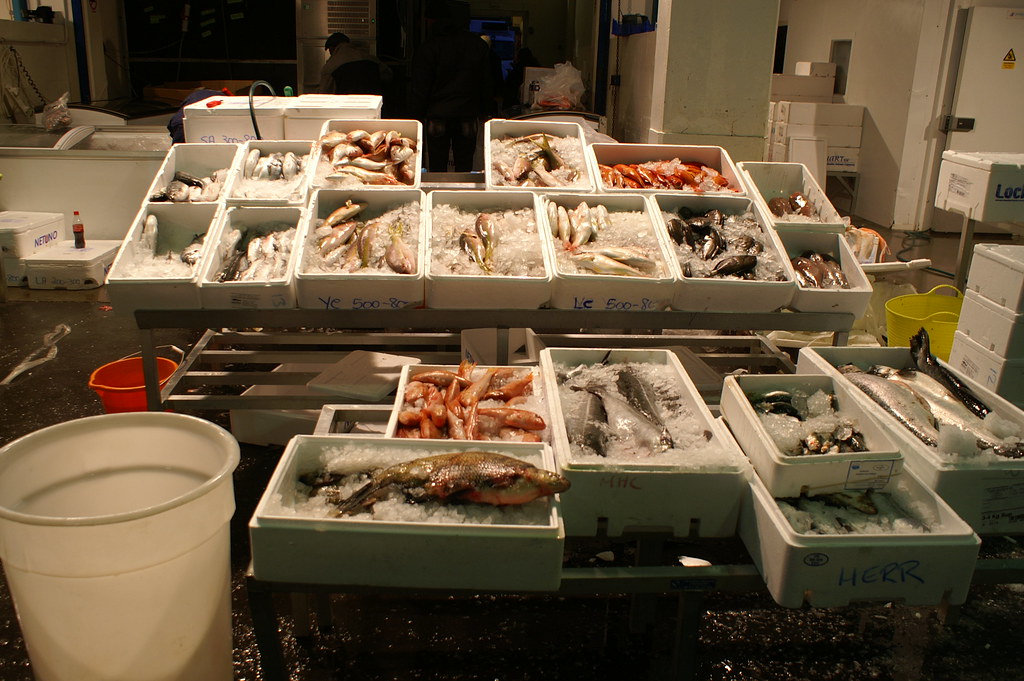 WHOLESALE FISH MARKET BIRMINGHAM (1) Bovine Spongiform Encephalopathy Flickr