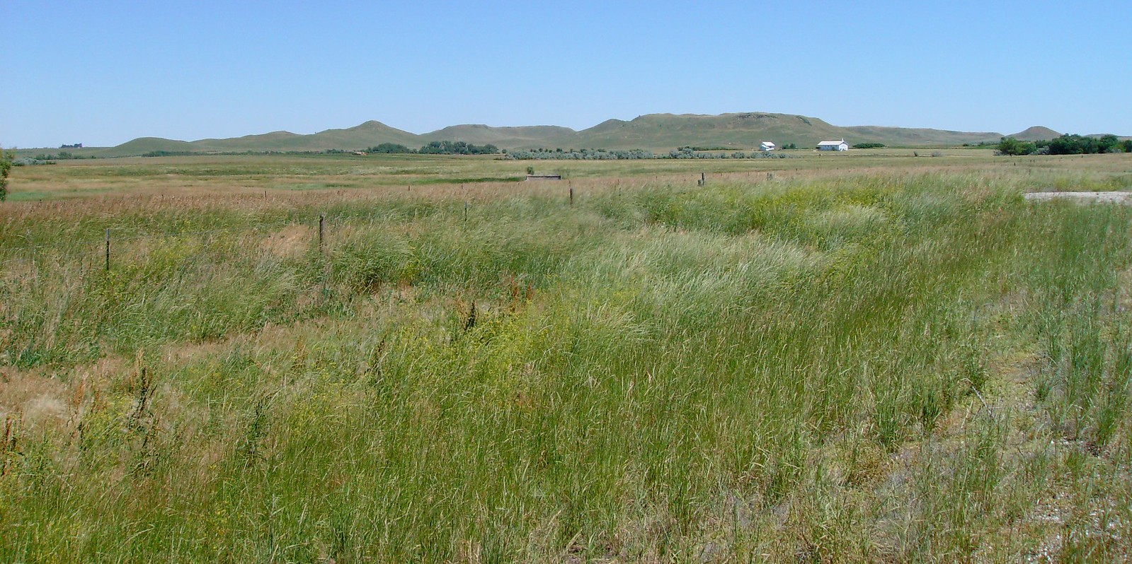 Tripp County, South Dakota Flickr