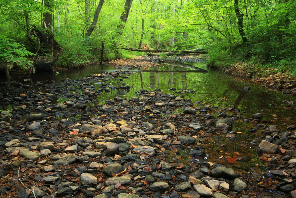 blankets creek, blankets creek bike park, lake allatoona r… Flickr