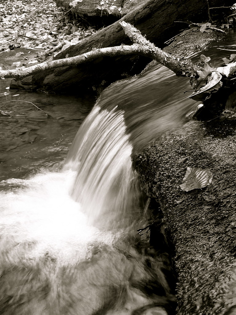 Station Cove State Park, Walhalla SC dgetty Flickr