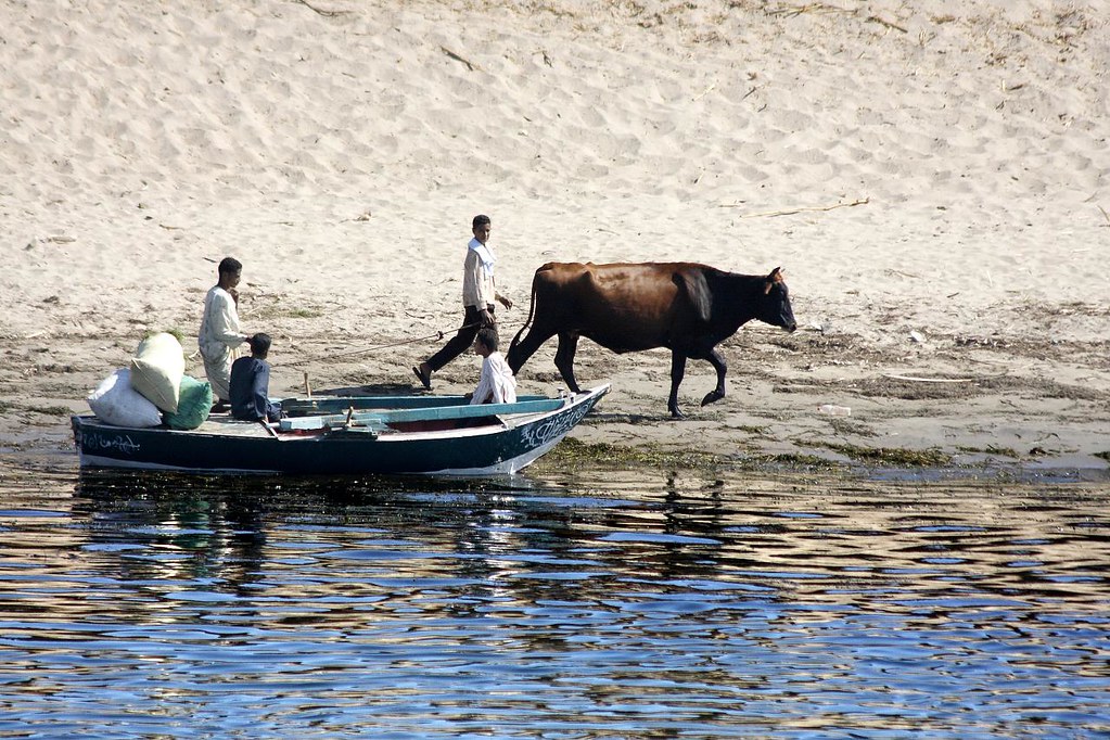 Riverside activity Riverside activity doublejeopardy Flickr