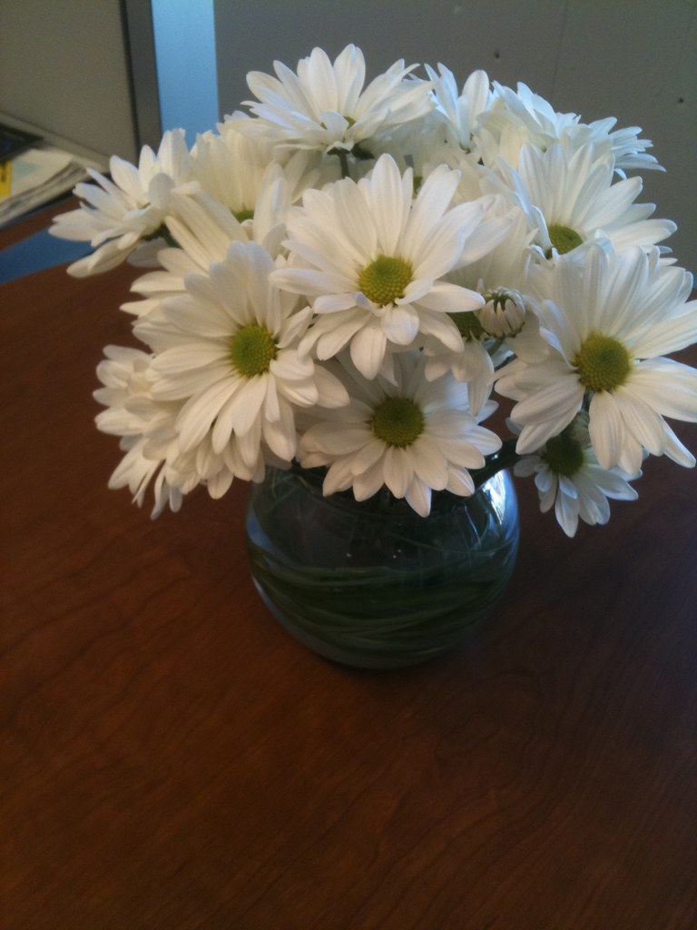 Flowers for no reason kathleen vandervelde Flickr