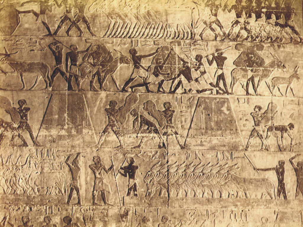 * Egyptian Wall * a photo on Flickriver