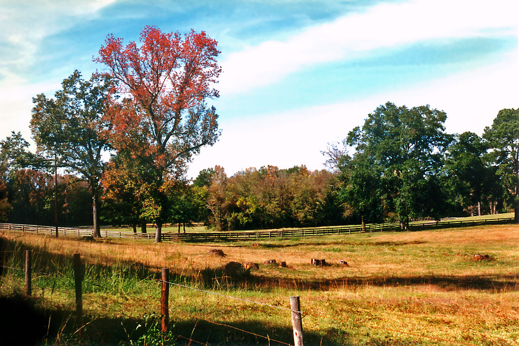 Fall Rural scene, East Texas Scene near Gilmer. Steven Martin Flickr