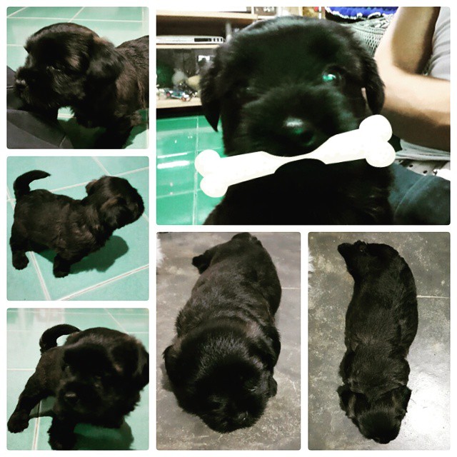 finally seeing my baby, so cute isn't it? kryno concierg… Flickr