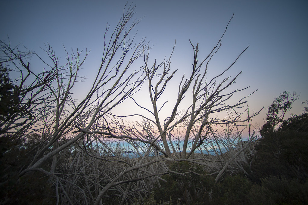The Horn The Horn, Mount Buffalo National Park Victoria Cam Wells