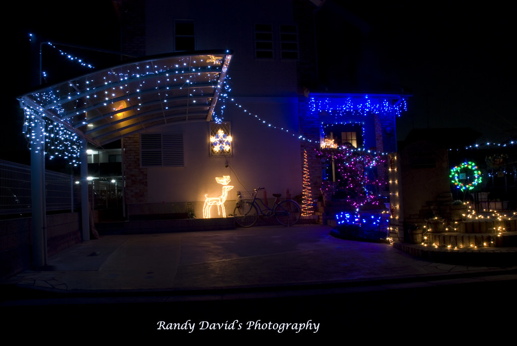 Christmas Lights Randolf David Flickr