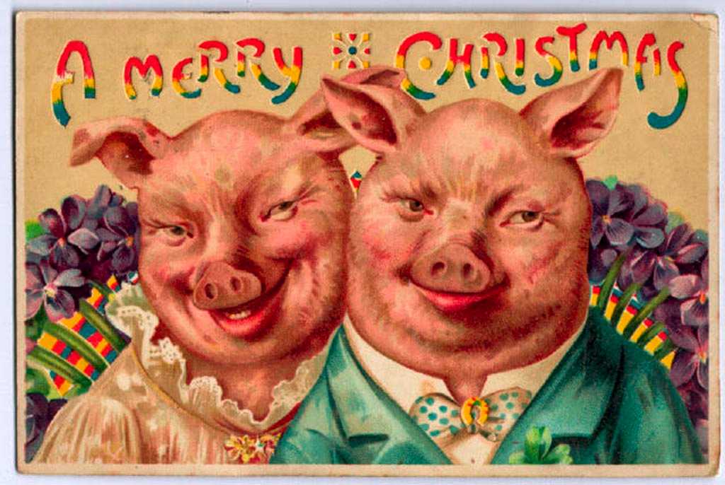 Happy pigs! vintage Christmas postcard wackystuff Flickr