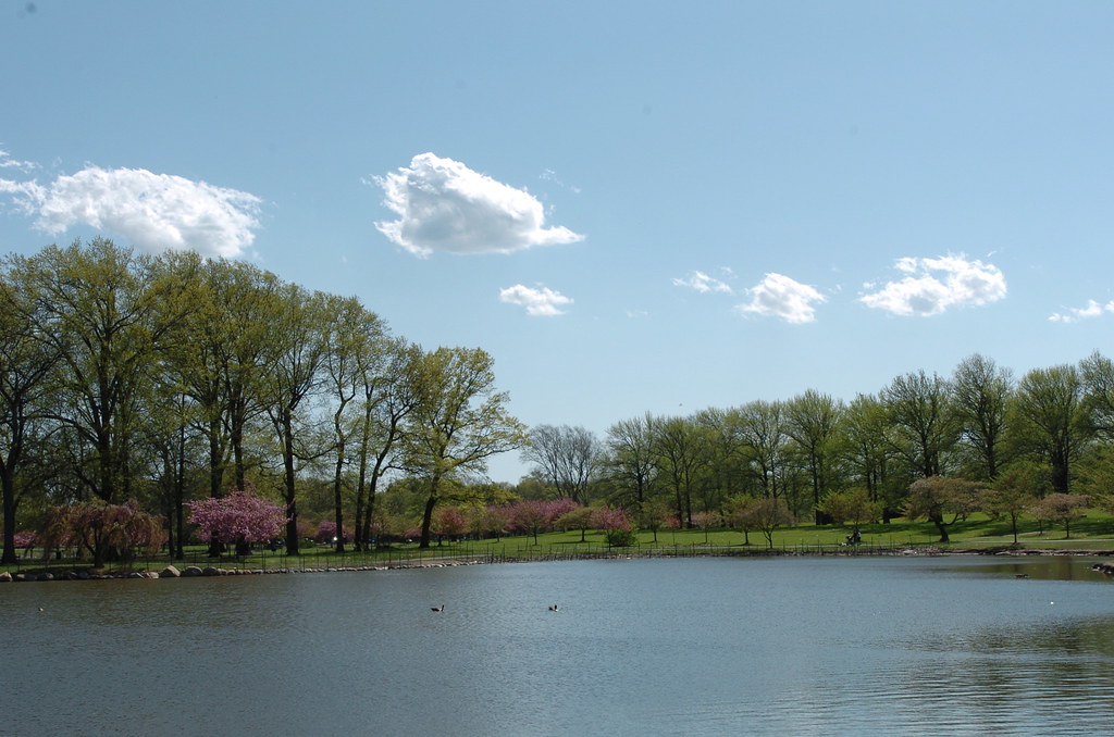 Warinanco Park Roselle, NJ Warinanco Park Puffy Clouds Ros… Flickr