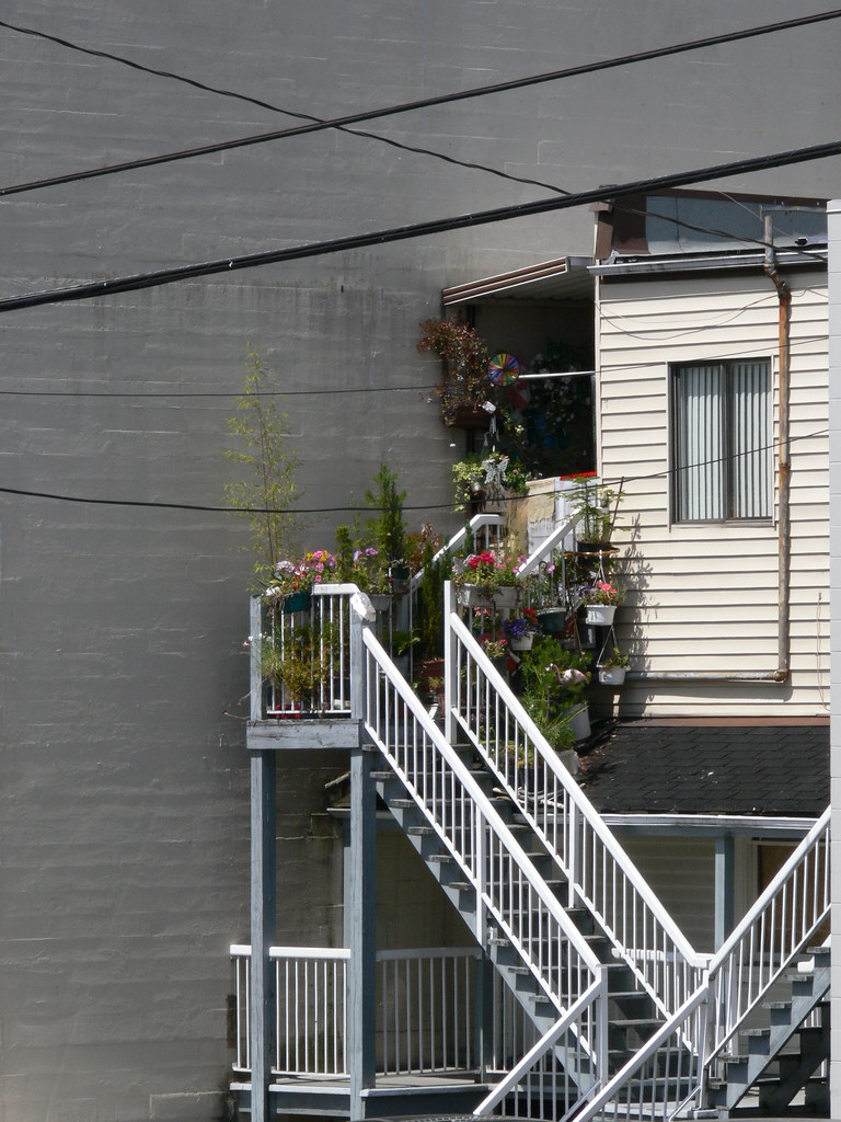 1240383 Balcony garden, Vancouver BC Hella Delicious Flickr