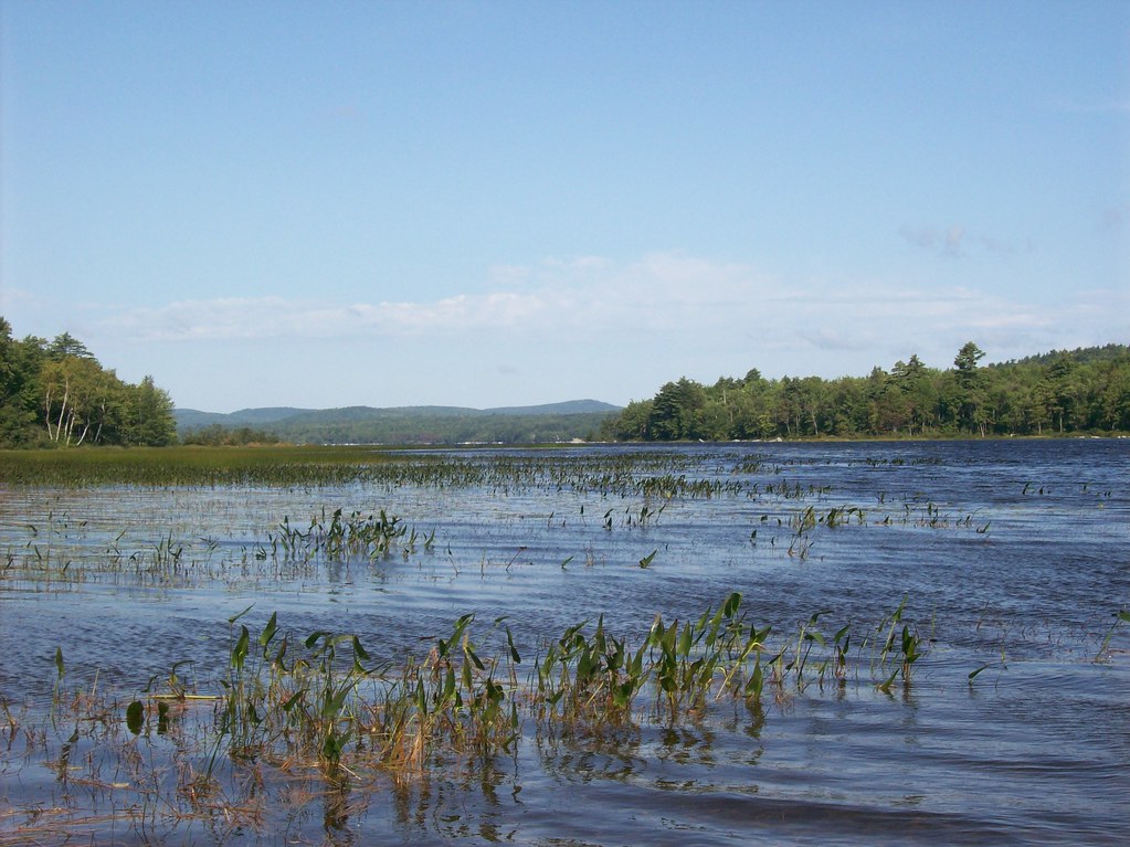 Patten Pond Maria Flickr