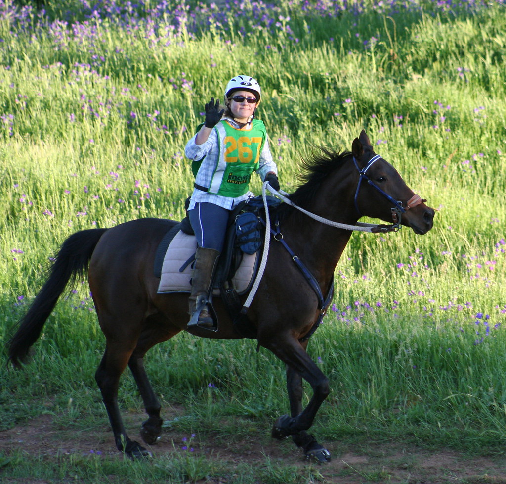 Woodstock Endurance Ride marionmitchellread Flickr