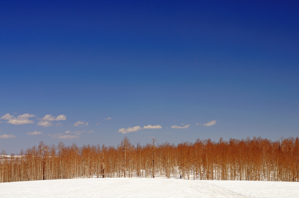Fairview Canyon Cross Country Skiing April 19 2008 Flickr