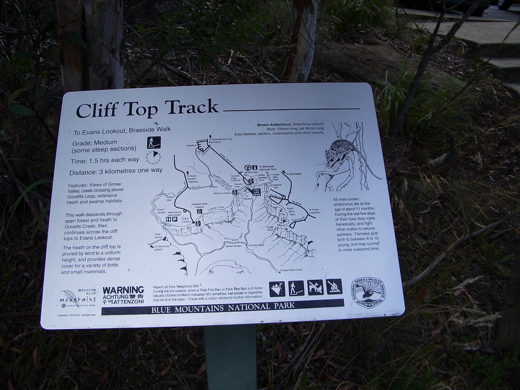 Cliff Top Track Govett's Leap to Evans Lookout, Braeside… Flickr