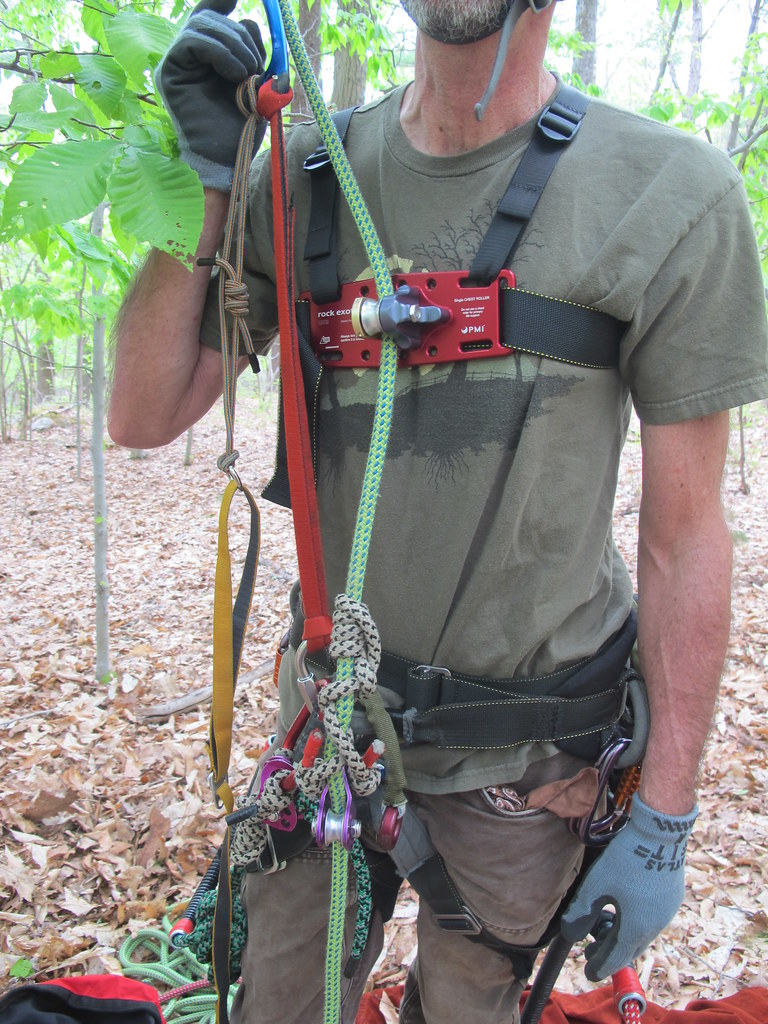 Sale > arborist knee ascender > in stock