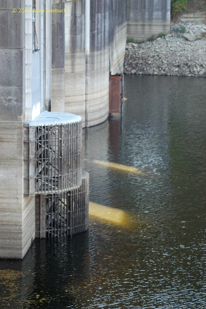 Normandy Dam These intake screens on Normandy Dam are usua… Flickr