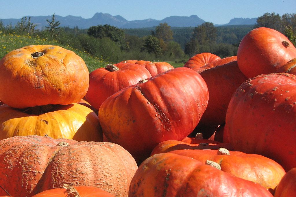 Things To Do Near Carnation Wa at Teresa Schultz blog