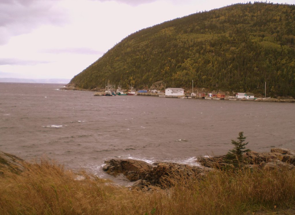 Wild Cove, White Bay Peter and Mary Jo Dawe Flickr