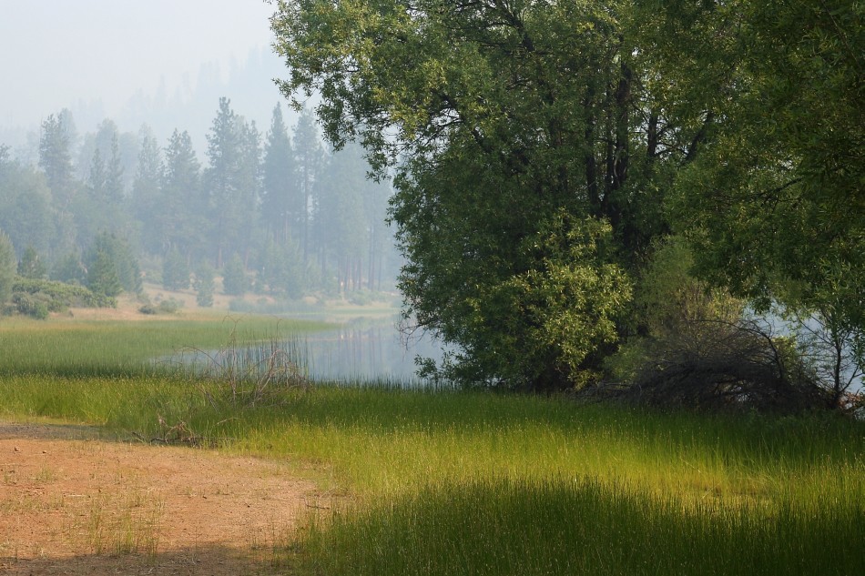 Smoke from Wildfires Trinity County, California Flickr