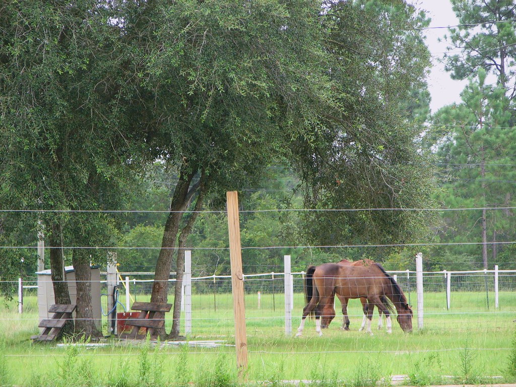 Untitled Red Dirt Road Photography Flickr