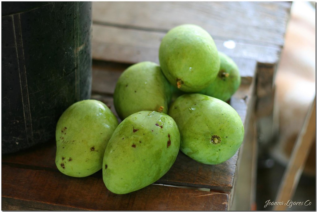 Green Carabao Mangoes Freshly picked Philippine Carabao Ma… Flickr