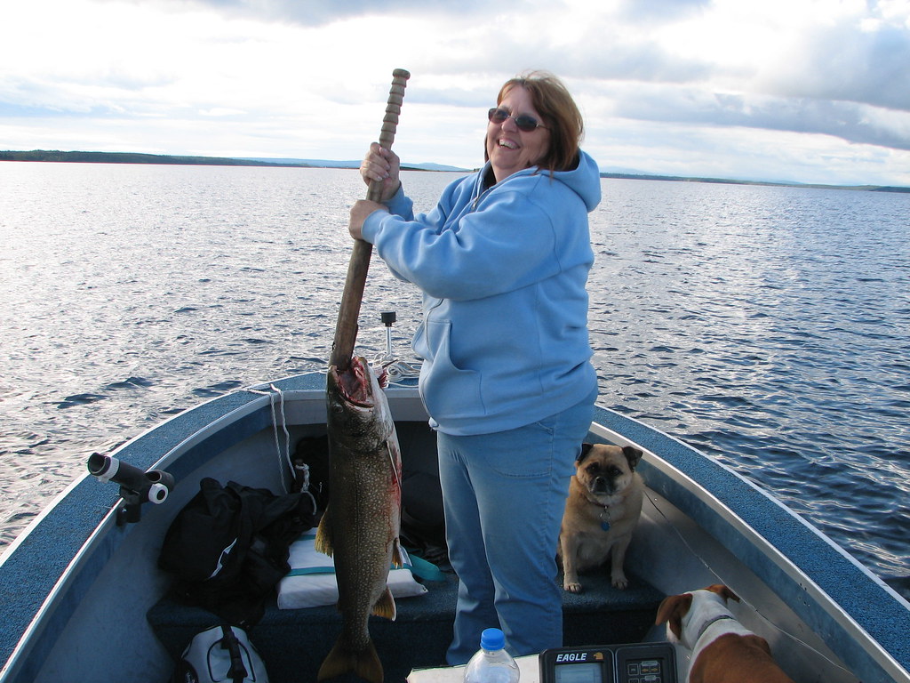 Picture 114 Lake Louise Lake Trout 351/2" padiegdoc Flickr