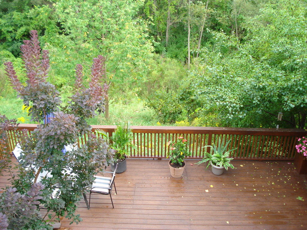 Just a short time ago! This is to remember the ravine in S… Flickr