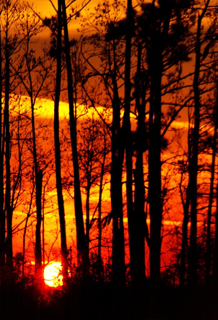 Harbor LA harbor at sunset New Orleans Da… Flickr