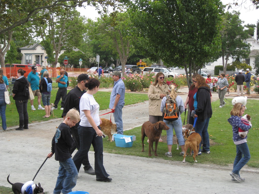 Dog Days of Hollister 2009 Dog Days of Hollister May 30 20… Flickr