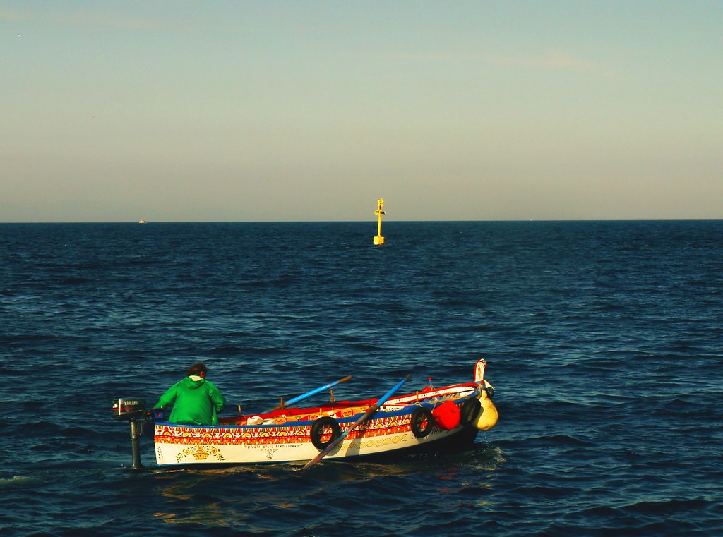 Malavoglia Un tempo i Malavoglia erano stati numerosi come… Flickr