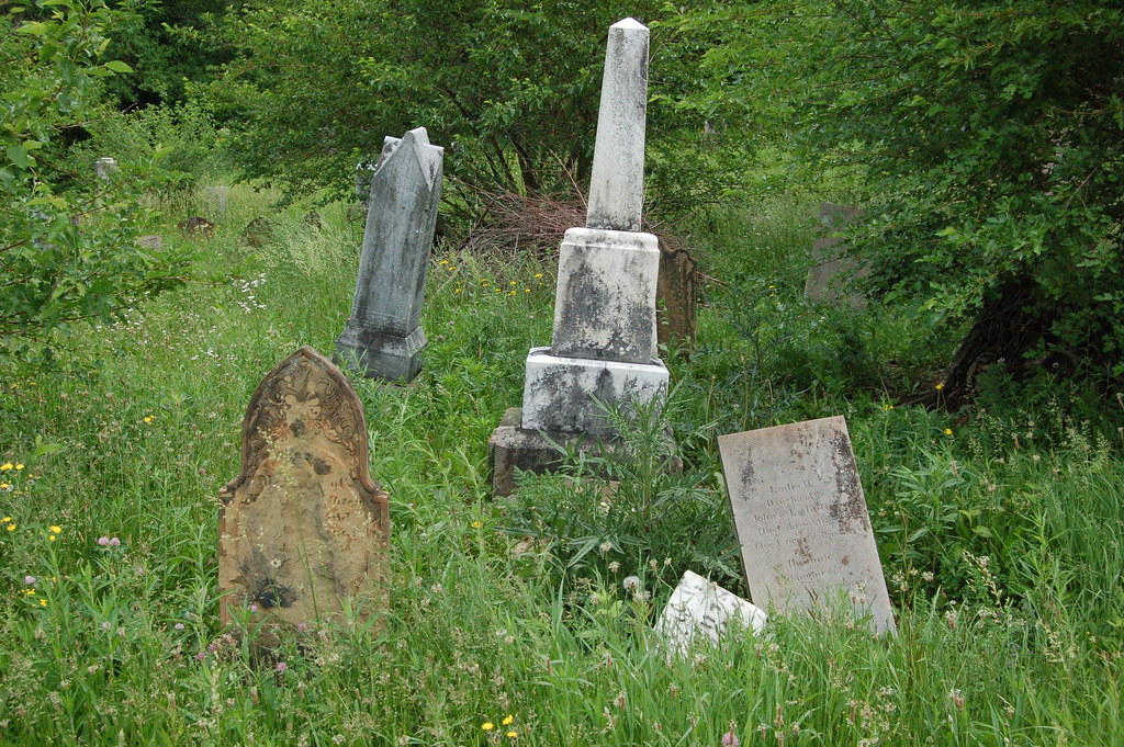 Overgrown Chester Baptist Cemetery in Morrow county Ohio. … Flickr