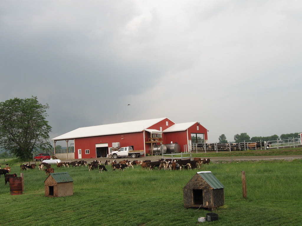 062908 Holley Farms Party With Possible Tornado Siteings… Flickr