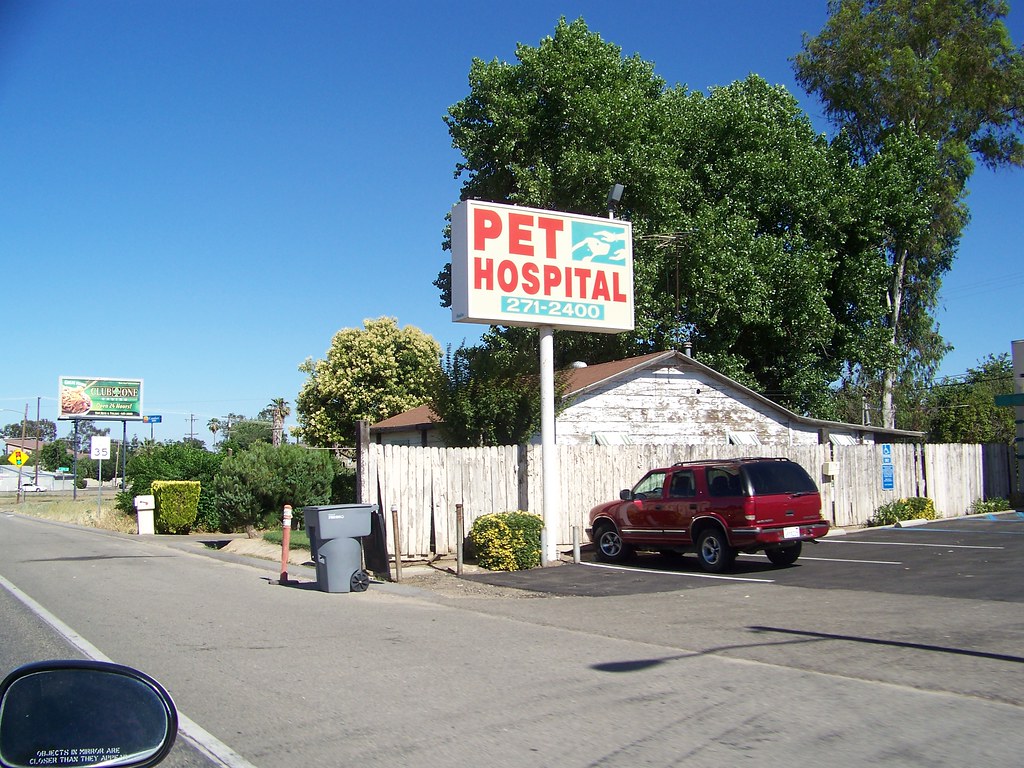Pet Hospital West Shaw and Polk Ave Fresno,Ca. Bob the Real Deal