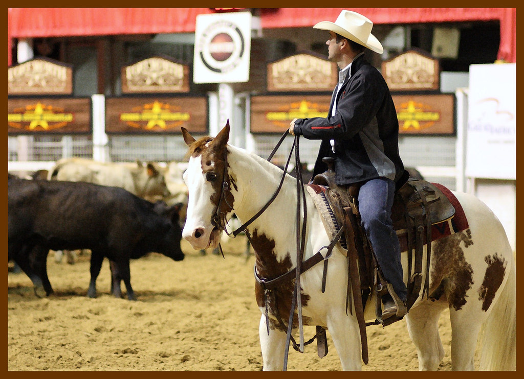 Flickriver Photoset 'National Cutting Horse Association' by Bettina