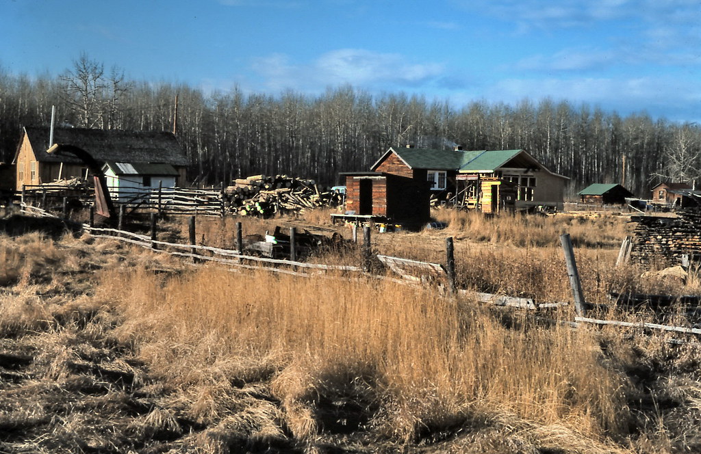 gm_13000 Shining Bank Farm, Alberta 1975 Old shacks and sh… Flickr
