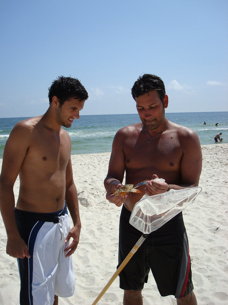 Gulf Shores Michelle's Pics Flickr