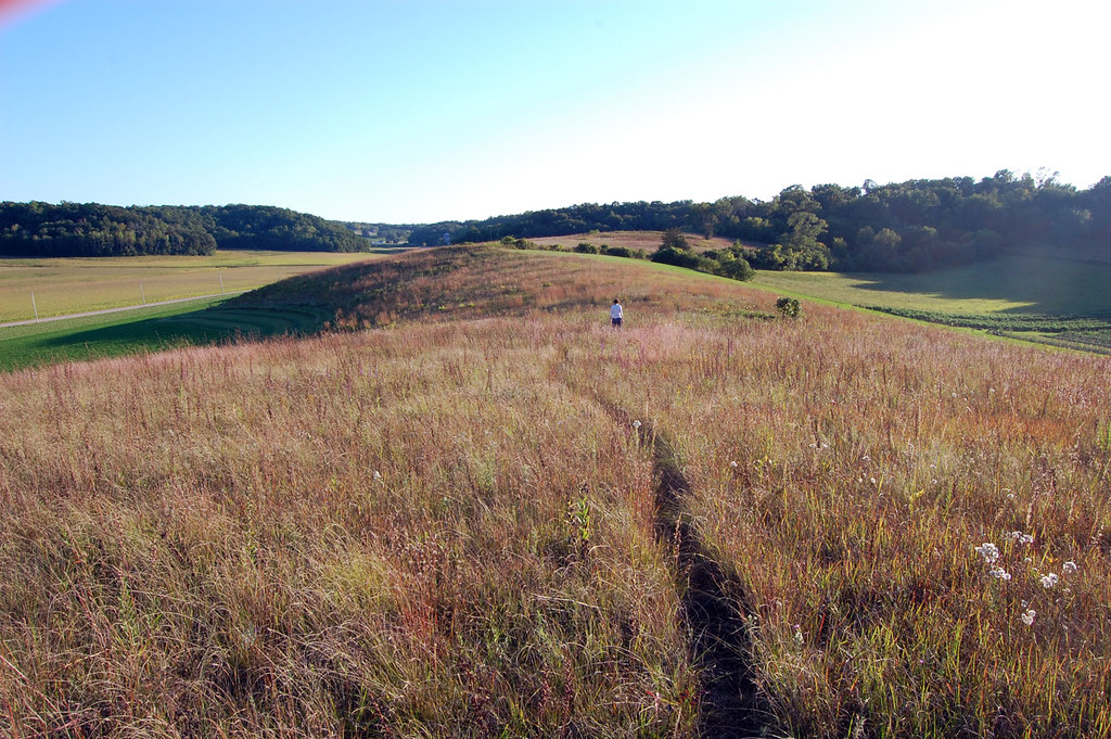 Black Earth Rettenmund Prairie Black Earth Rettenmund Prai… Flickr