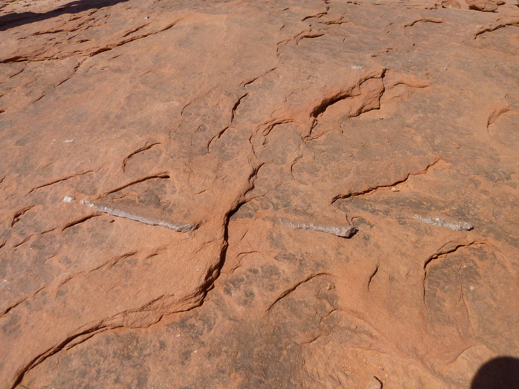 Dinosaur Tracks Tuba City, AZ j2davis2005 Flickr