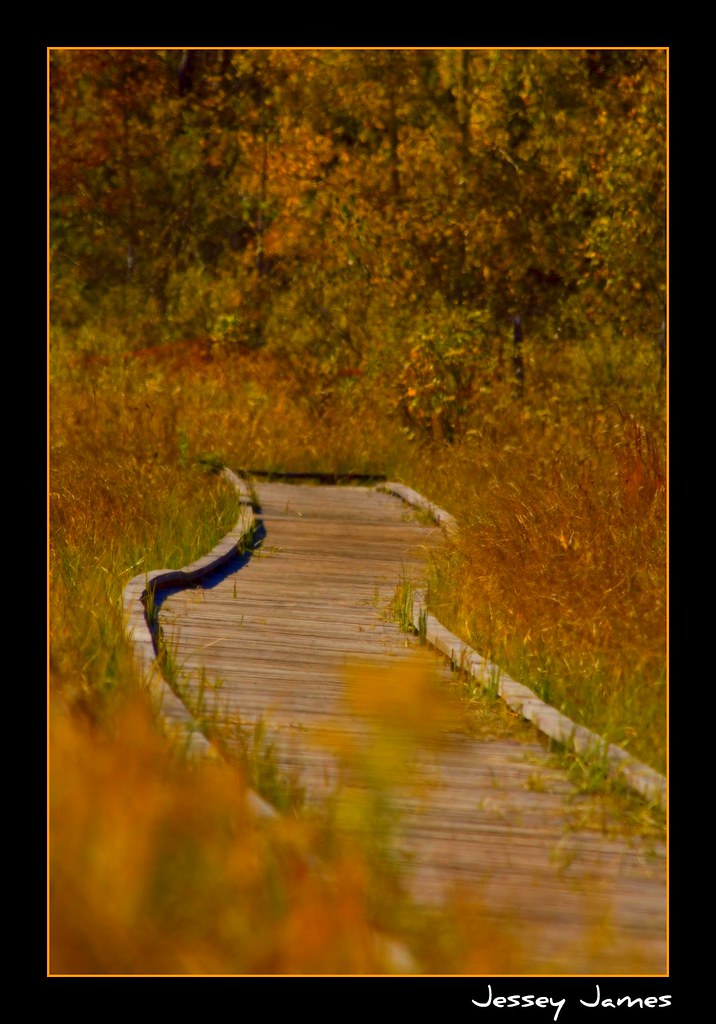 Fielding Road trail Sudbury in Northern Ontario Canada Flickr