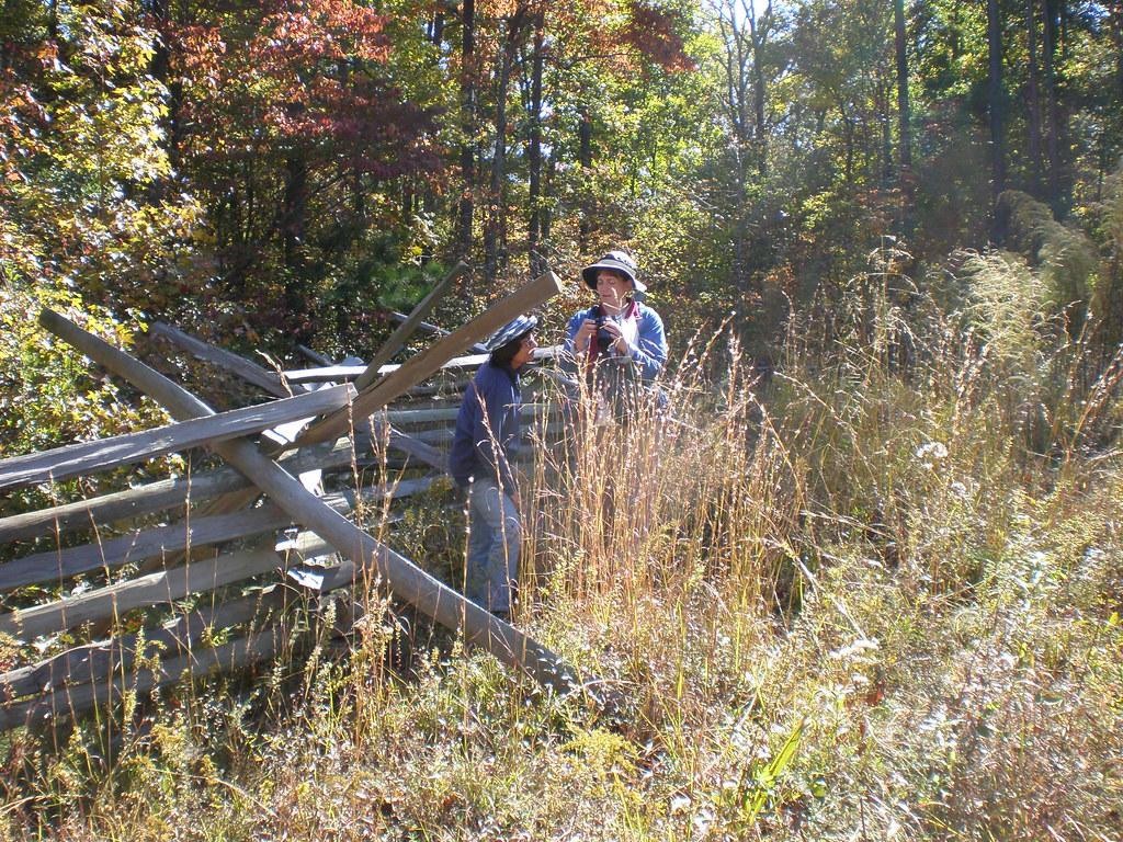 PB010125 Pickett's Mill State Historic Site, IndiePhoto