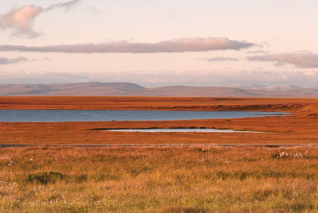 Tundra The far northern tundra, just east of Point Hope, A… Flickr